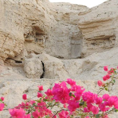 Willa Dead Sea Dawn Neot HaKikar Zewnętrze zdjęcie