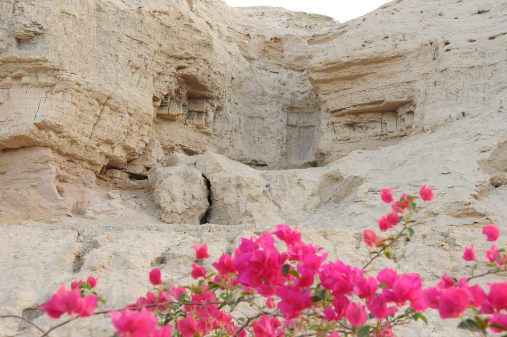 Willa Dead Sea Dawn Neot HaKikar Zewnętrze zdjęcie
